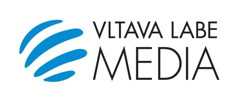 VLM logo